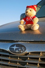 I Like CX-60th Anniversary retro Bear @ Fengning Bashang 丰宁坝上-国