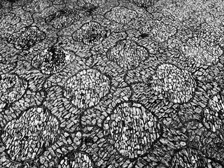 网师园花街铺地_Mosaic