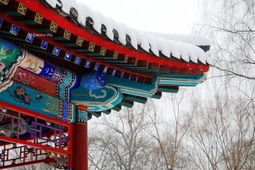日坛雪景-Heavy Snow@Altar to the Sun Beijing