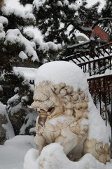 日坛会馆雪景-Stone Lion under the snow