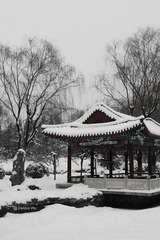 日坛雪景-Heavy Snow@Altar to the Sun Beijing