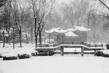 日坛雪景-无名石舫和桥