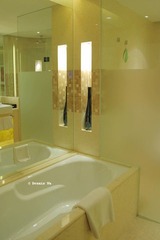 Tub_Swissôtel Grand Shanghai 宏安瑞士酒店