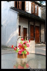 Ikebana at PingjiangLu_插花平江路