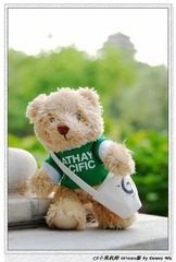 小熊机师景山万春亭下_CX Pilot Bear at Jingshan
