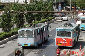 DSC00204-1.jpg