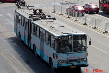 DSC00202-1.jpg