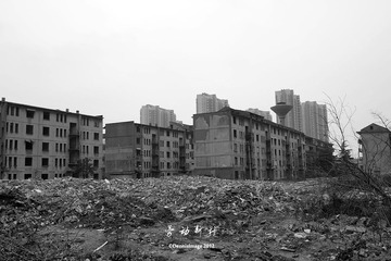P3114859R.jpg
