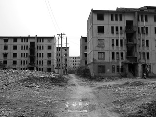 P3114864.JPG