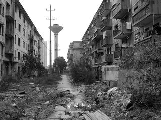 P3114865.JPG
