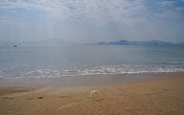 DSC04595_1