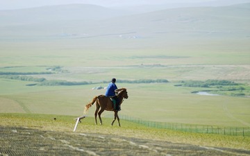 DSC02718_1