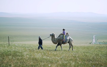 DSC02730_1