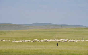 DSC03077_1