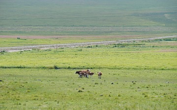 DSC03095_1