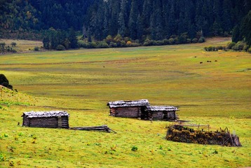 DSC_1782.JPG