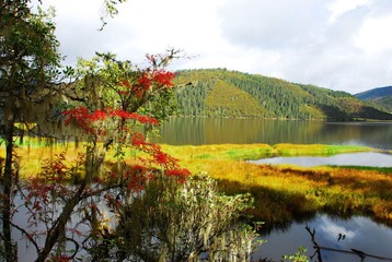 DSC_1744.JPG