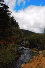 DSC_1804.JPG