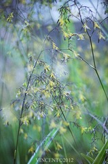IMGP0887.jpg