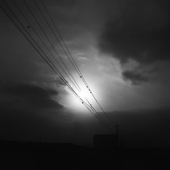 SDIM0277-1.jpg