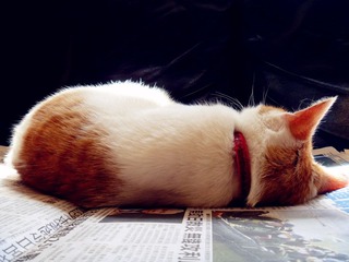 1304 (9)_副本.jpg