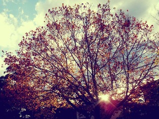 autum (8).jpg
