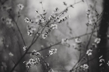 IMG_1001
