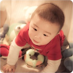 萌