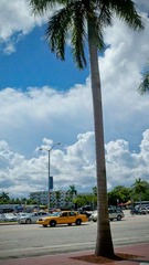 2011-08-01_15-39-59_703.jpg