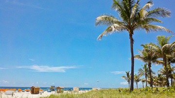 2011-08-02_12-30-24_402.jpg