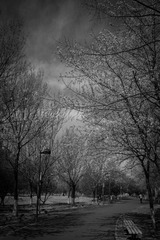IMG_7505-1_调整大小
