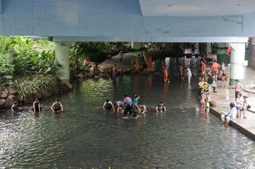 河涌清污1