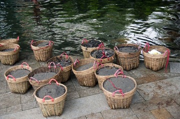 河涌清污4