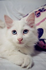 DSC03967_副本.jpg