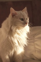 DSC06760_副本.jpg