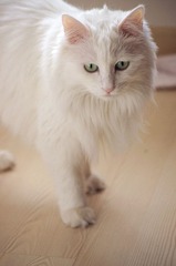 dsc06761_副本.jpg