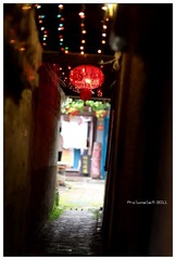 DPP_0174
