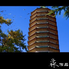 IMGP0467.jpg