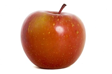 cpSG1L1705.jpg