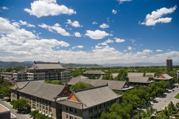 IMGP3376.jpg