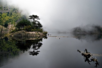 IMGP7435.jpg