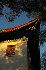 SG1L5246.jpg