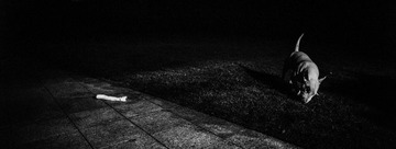 L1005618.jpg