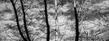 L1006427.jpg