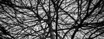 L1006486.jpg