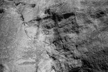 L1006881.jpg