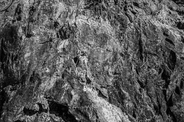 L1006882.jpg