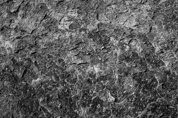 L1006897.jpg