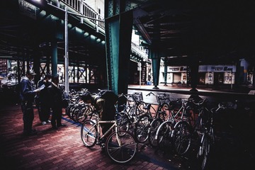 _DSC0290