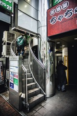 _DSC0294